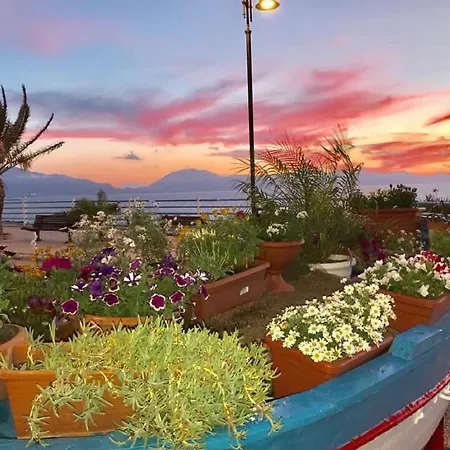 Dora Trappeto (Sicily)